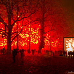 lyonlumieres2013 17 - 